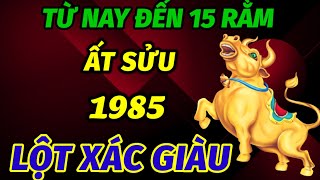 TRỜI PHẬT ĐỘ MỆNH TUỔI ẤT SỬU 1985 ĐÚNG TỪ NAY ĐẾN 15 RẰM THÁNG 11 ÂM LỊCH TRỞ MÌNH LỘT XÁC ĐỔI ĐỜI [upl. by Mraz]