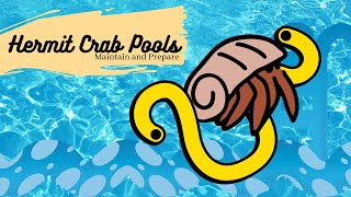 Hermit Crab Pools  Maintain and Prepare [upl. by Osgood]