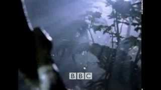 INSTINTO DE SUPERVIVENCIA HUMANA 1  5 BBC DOCUMENTALES [upl. by Ananna]