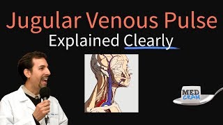 Jugular Venous Pulse JVP Explained Clearly  Evaluation Waveforms Interpretation [upl. by Zetnod]