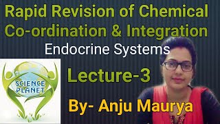 Rapid Revision of chemical Coordination and integration Lecture3 By Anju Maurya [upl. by Hairehcaz]