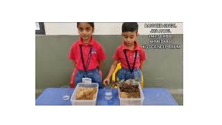 SOIL EROSION kindergarten I SCIENCE I EXPERIMENT I EASY COMPETITION EXPERIMENT SCIENCE SAVE EARTH [upl. by Hazeghi44]