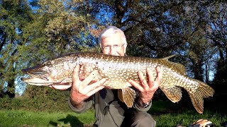 LUCCIO 90 CM pescando con la boa in movimento [upl. by Potts]