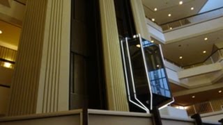 Awesome Westinghouse HighSpeed Elevators at Hilton Hotel in Atlanta GA [upl. by Eelyma63]