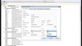 Working Papers Engagement Properties Tax Settings [upl. by Nallid]