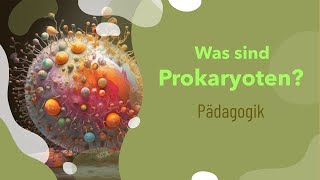 Was sind Prokaryoten  Aufbau  Beispiele  Zellwand  Größe  Mitochondrien  DNA  Funktion [upl. by Ettennad]