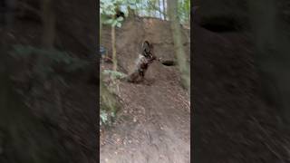 Bike smashing at its best motorcycle dirtbike fail [upl. by Salem]