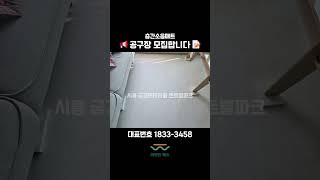 ✨최대 100만원 혜택 공구장 모집중📢 [upl. by Ardnasirhc]