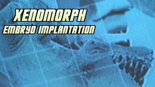 Xenomorph Embryo Implantation Process  Explained [upl. by Ekusuy271]