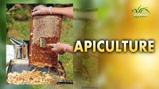 Apiculture Malayalam [upl. by Engel]