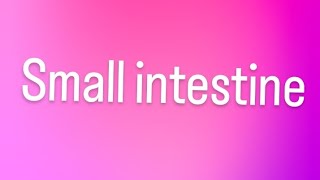 small intestine and their functions viral trending youtube [upl. by Attenej]