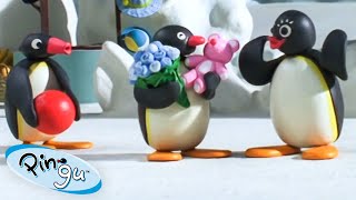 Green Eyed Pingu 🐧  Pingu  Official Channel  Cartoons For Kids [upl. by Gladdy]