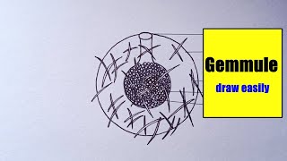 how to draw Gemmule Diagram easily  Gemmule Diagram  how to draw Gemmule Diagram step by step [upl. by Ennaira]