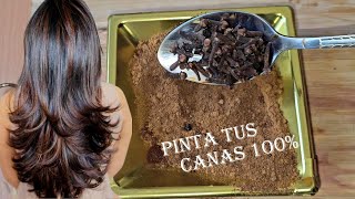 PINTA TU CABELLO SIN QUÍMICOS DE MARRÓN Y ELIMINA TUS CANAS 100🤎 [upl. by Arnoldo730]