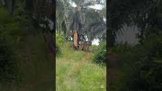 Beginilah Backhoe puntung logear juga tidak ada backhoe ladangkelapasawit subscribe shorts [upl. by Cimbura]