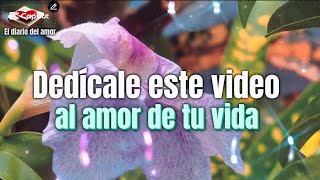 Dedícale este video al amor de tu vida [upl. by Pavier]