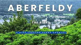 Birks of Aberfeldy [upl. by Ynoep]