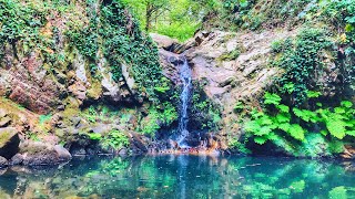 شلّالات بني مطير السّاحرة  Les Cascades Magiques de Beni Mtir [upl. by Aderb351]