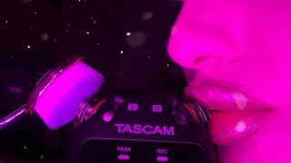 Want to stay Tingle Immune don’t WATCH THIS VIDEO  ASMR  AMAZING TASCAM SOUNDS [upl. by Trotta268]