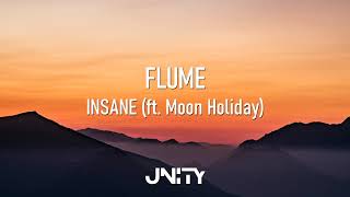 1 HOUR  Flume  Insane ft Moon Holiday [upl. by Eseerahs]