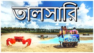 Talsari  Talsari Sea Beach  তালসারি  তালসারি সমুদ্র সৈকত   সুবর্ণরেখা নদী  লাল কাঁকড়া [upl. by Ysnap]