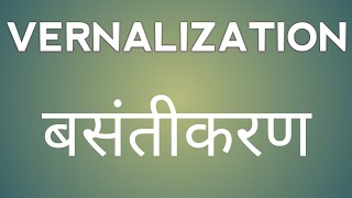 Vernalization बसंतीकरण  Plant science Nashdeep singh  12th biology 11th NCERTCBSE biology [upl. by Schwarz]