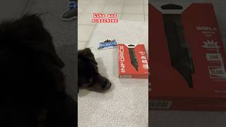 tactical light flashlight inforcelights 2ndamendment airsoft unboxing [upl. by Monreal]