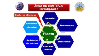 La Biofísica en el Posgrado en Botánica avances en la enseñanza e investigación [upl. by Norvol176]