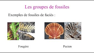 Les fossiles et la fossilisation  المستحاثات و الاستحاثة [upl. by Trubow]