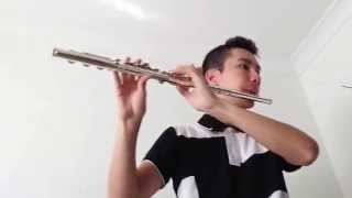 Molly On The Shore by Percy Grainger Flute cover [upl. by Swayne155]