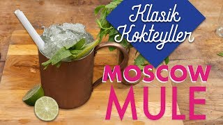 MOSCOW MULE Kokteyli Nasıl Yapılır [upl. by Sparks]