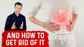 What Causes Gastritis [upl. by Bernard9]