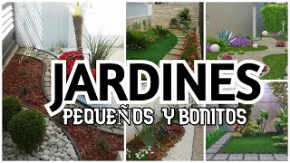 IDEAS DE DECORACION PARA JARDINES PEQUEÑOS En Casa con La Tía Milly [upl. by Yanej]