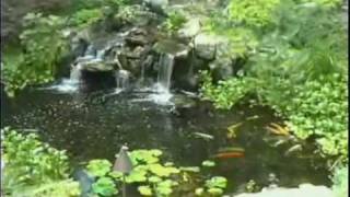 Ponds waterfalls landscaping designs Deck and Patio Company Long Island NY [upl. by Aicil]