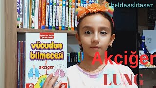 Vücudun Bilmecesi  AKCİĞER  LUNG [upl. by Eadie]