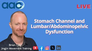 Stomach Channel and LumbarAbdominopelvic Dysfunction [upl. by Adli]