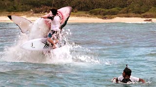 Shark attacks All the craziest attack scenes from The Shallows 🌀 4K [upl. by Aicilec]