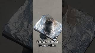 Bell Jar method transpiration [upl. by Anna-Diana306]