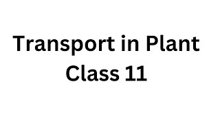 Transport System in Plants Class 11 NCERT NEET Biology [upl. by Jannery]