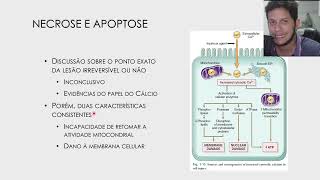 Revisão de Patologia Geral Veterinária [upl. by Ulphia]