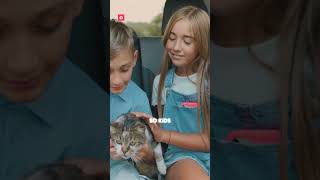 Discover 4 Types of Cats Siamese Persian Bengal amp Sphynx – Fun amp Educational Adventure for Kids [upl. by Noitsuj]