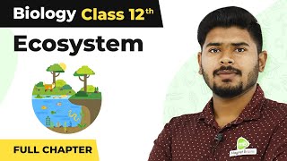 Class 12 Biology Chapter 16  Ecosystem Full Chapter Explanation  CBSENCERTNEET 202223 [upl. by Lemal]