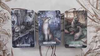 Heartwood Tarot Oracle pairings playingwithpairs [upl. by Jenna]