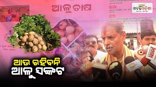 There Will Be No Shortage Of Potato Anymore  Balangir  Khabar Odisha [upl. by Nosnej]