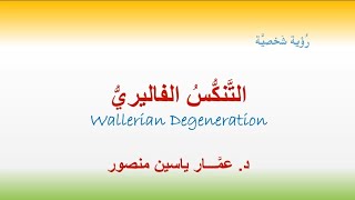 التَّنكُّسُ الفاليري رؤيةٌ شخصيَّةٌ Wallerian Degeneration [upl. by Deron]