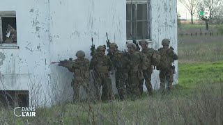 Les entraînements des troupes de lOTAN en Roumanie  reportage cdanslair 15042022 [upl. by Wain]