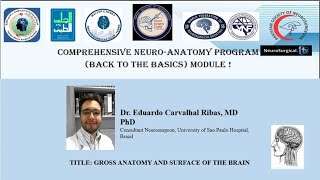 TITLE GROSS ANATOMY AND SURFACE OF THE BRAIN [upl. by Denie]