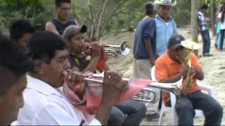 BANDA DE VIENTO DE CHALINGO HUAUTLA HGO [upl. by Enneles]