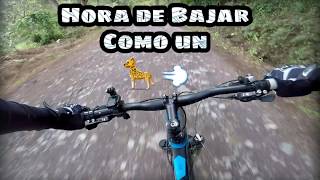 MTB COLOMBIA GOPRO Excelente descenso en mi bicicleta Optimus Bikes Tucana [upl. by Ricketts]