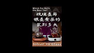 Glass vs Silver Which Pot Boils the Best Tea玻璃壶与银壶煮茶的区别 [upl. by Ahsinrad]